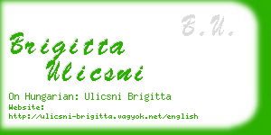 brigitta ulicsni business card